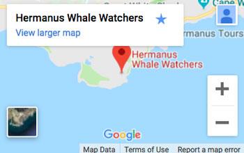 Whale Watching Google map