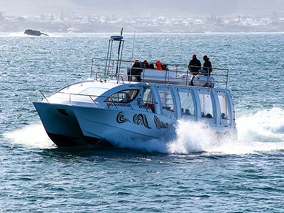 whale watching boat 400x300 1