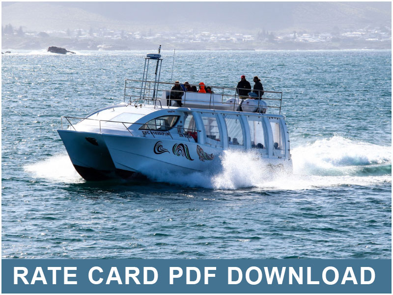 whale watching rate card