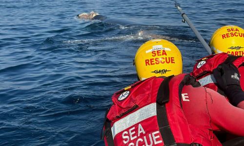 NSRI working on the disentangled whle