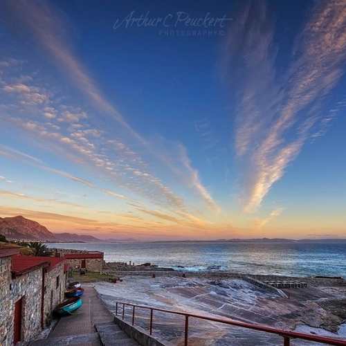 Hermanus eco boat trip18