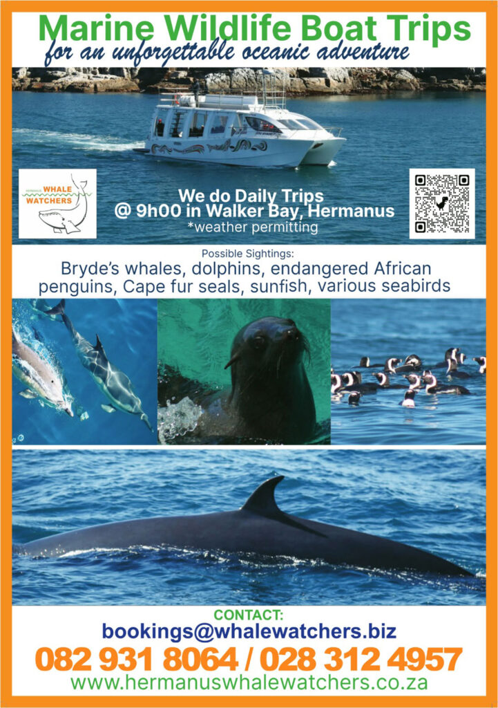 Marine Wildlife boat trips