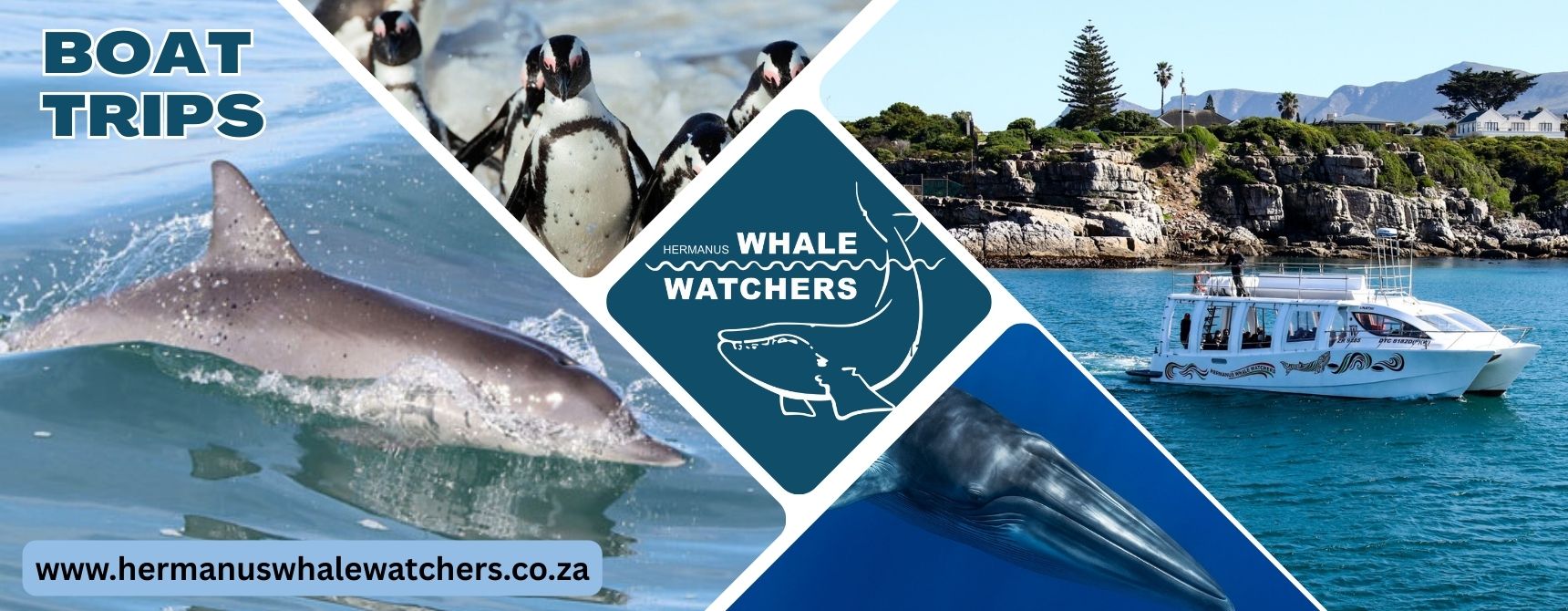 boat trips cover 2025 new 1