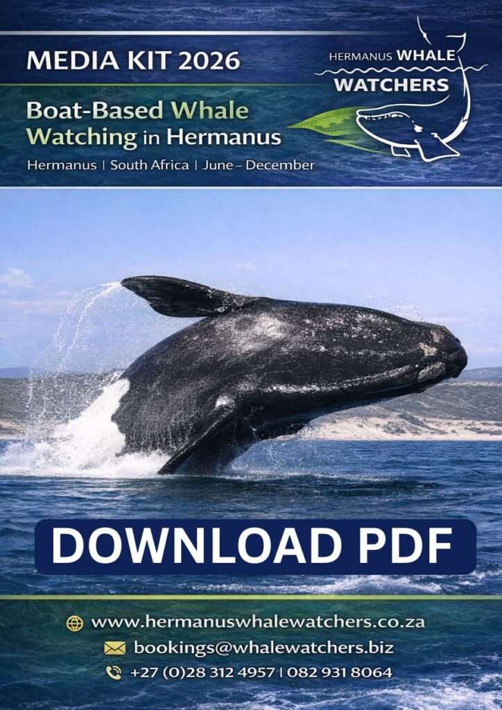 Home 5 whale watching media kit 2026