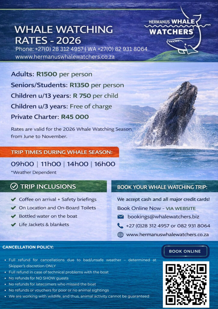 Home 6 hermanus whale watchers rate card