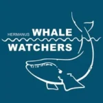 hermanuswhalewatchers